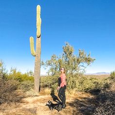 a woman standing next to a tall saguado in the desert with her dog