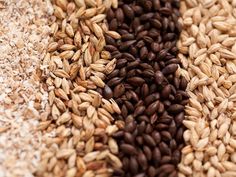 different types of grains are shown in this image