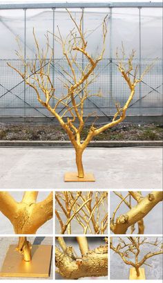 gold leafed tree sculpture on display in front of a fenced in area with multiple pictures