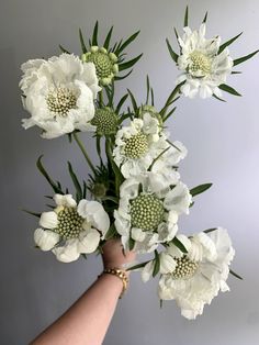 a person's hand holding a bouquet of white flowers