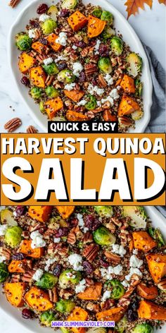 a bowl full of roasted quinoa salad with text overlay that reads quick and easy harvest quinoa salad