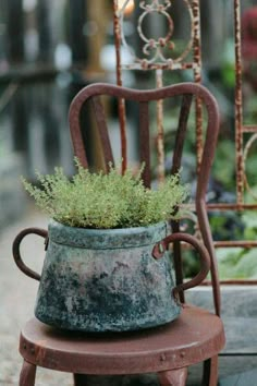 an old chair with a potted plant on it