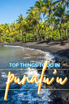 a beach with palm trees and the words top things to do in panauu