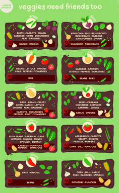 an info sheet with different types of vegetables