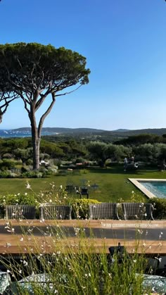 an outdoor swimming pool surrounded by greenery and trees with the ocean in the background