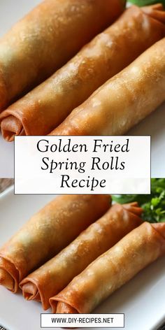 golden fried spring rolls recipe on a white plate