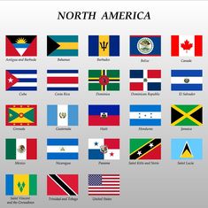 an image of the flags of north america