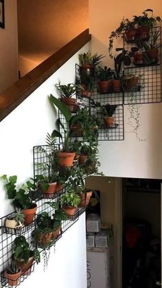 some plants are growing on the side of a stair case that is attached to a wall