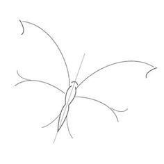 a drawing of a butterfly on a white background with the words, how to draw a butterfly