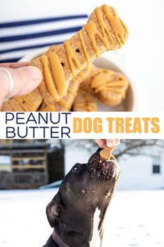 the dog is eating some peanut butter treats