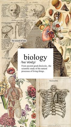 the cover of a book with images of human body and bones, including an image of flowers