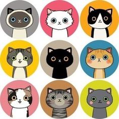 six different colored cats with big eyes