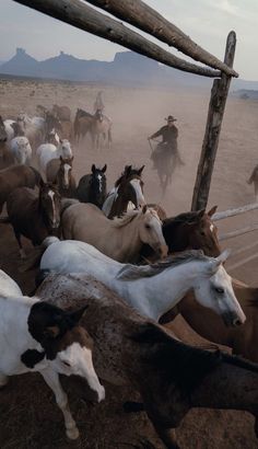 a herd of horses running across a dirt field