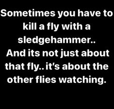 some times you have to kill a fly with a sledgehammer and its not just about that fly, it's about the other flies watching