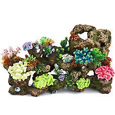 an aquarium filled with lots of different types of corals and seaweed on top of each other