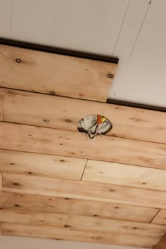 a bird is perched on the wooden ceiling