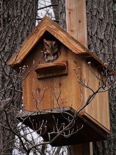 a bird house in the middle of trees with an owl on it's head