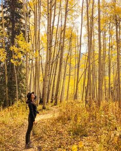 a woman standing in the middle of a forest with yellow leaves on the ground and trees all around her