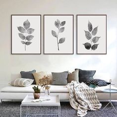 three black and white paintings on the wall above a couch