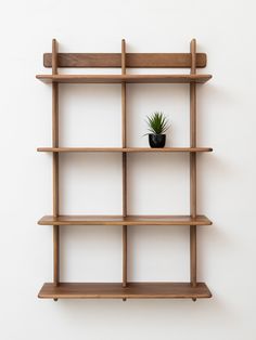 a wooden shelving unit with a potted plant on the top and bottom shelf