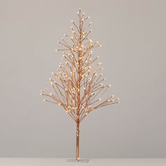 a lighted christmas tree with white lights on it's branches in front of a gray background