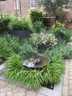 a fountain surrounded by plants and flowers in a garden