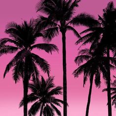 the silhouettes of palm trees against a pink sky are shown in this image,