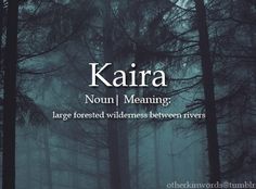 there is a book cover with trees and fog in the background that reads karra