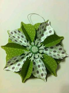 a green and white flower hanging from a wall