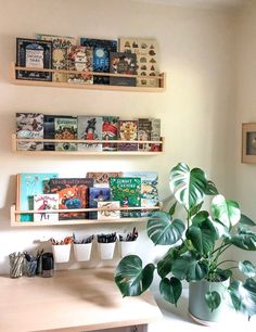 some plants and books are on shelves above a desk