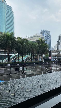 there are many birds that are standing in the water near some buildings and palm trees