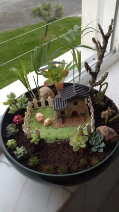 a potted planter filled with succulents and small house in the middle