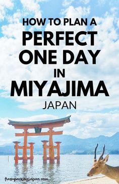 an animal standing on top of a beach next to the ocean with text overlay that reads how to plan a perfect one day in myauma japan