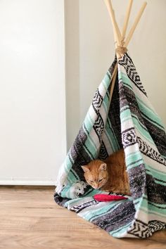 an orange cat laying in a teepee on the floor next to a white wall