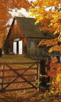 an old barn surrounded by autumn foliage and trees with yellow leaves on the ground, in front of a wooden gate