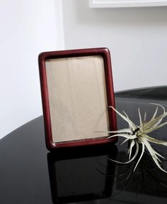 an air plant sitting on top of a black table next to a white framed piece of paper