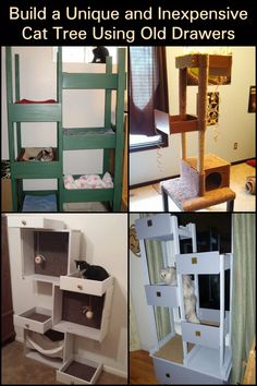 the cat tree is made out of old drawers and shelving units, but it's easy to build