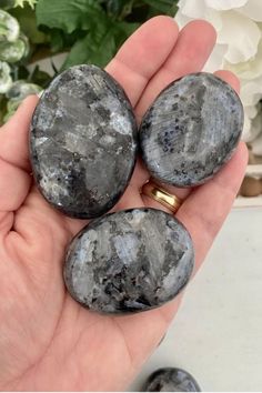 Larvikite is a great tool for transmuting negative energy, and empaths have found it helpful in blocking the vibrational energy of others. #larvikite #blackmoonstone #crystals #palmstones #tumbledstones #worrystones #massagestones #meditationstones #instacrystals #gemstones #crystalstore #crystalstones #crystalshops #crystalshopping #crystalshop #crystalsforsale #crystalseller Black Moonstone, Vibrational Energy, Meditation Space