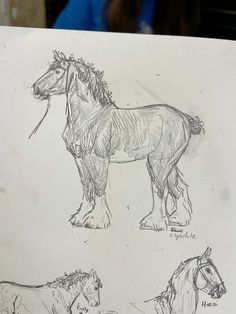 a drawing of three horses standing next to each other on a piece of white paper