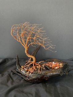 a bonsai tree is growing out of an old piece of driftwood on a black sheet