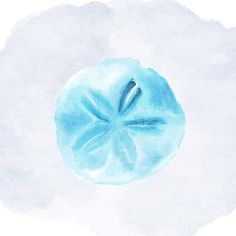 a blue sand dollar on a white background