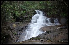 a small waterfall in the middle of a forest