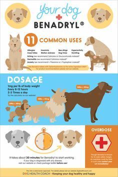 an info sheet with dogs and their health benefits