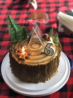 there is a cake that looks like a log with trees on it and the number fifty