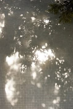 the shadow of a bench on a tiled floor in front of a tree and sky