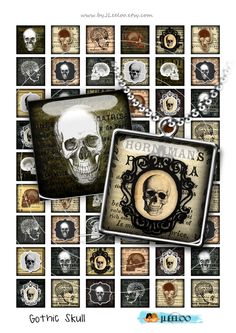 a collage of skulls and other items