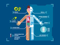 the human body with all its parts labeled in blue and green colors on a blue background