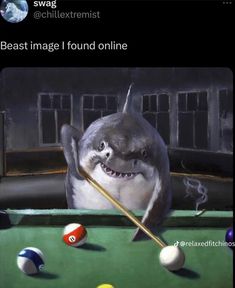 a shark is playing pool with billards in front of him and the caption reads, best image i found online