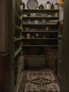 an open pantry filled with lots of green shelves