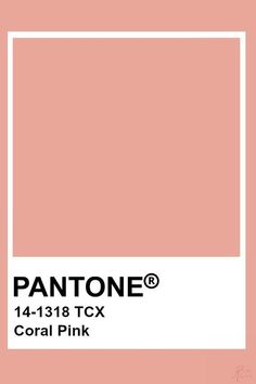 Pantone 2020, Style Deco, Trik Fotografi, Color Inspo